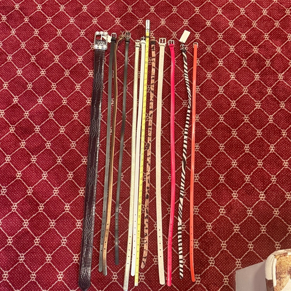 Stylish Women's Belt Set - Multicolor